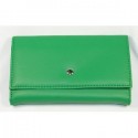 Buxton Green Seven Day Weekly Pill Box Organizer