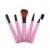 Pink Crystal Makeup Brush Set 