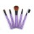 Purple Crystal Makeup Brush Set