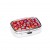 Red Flower Pill Box